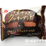 森永乳業 生チョコクッキーサンド